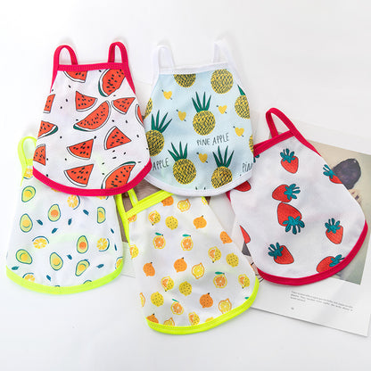 Lightweight for Small Dogs & Cats